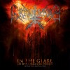 CD Graveland "In The Glare Of Burning Churches"