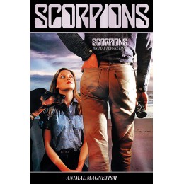 Флаг Scorpions