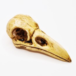Значок "Череп ворона с желтым клювом" желтый 5 см