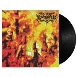Виниловая пластинка Necrophobic "The Third Antichrist" (1LP)