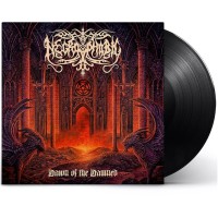Виниловая пластинка Necrophobic "Dawn Of The Damned" (1LP)