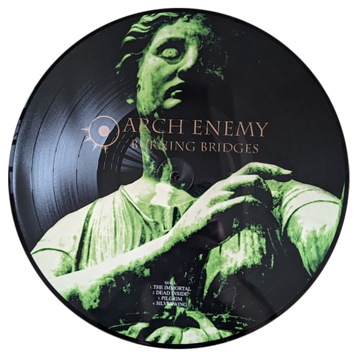 Виниловая пластинка Arch Enemy "Burning Bridges" (1LP) Picture