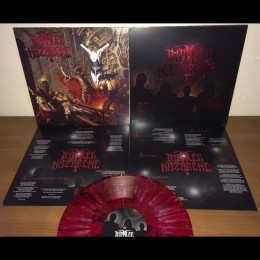 Виниловая пластинка Impaled Nazarene "The Awakening" (1LP) Splatter