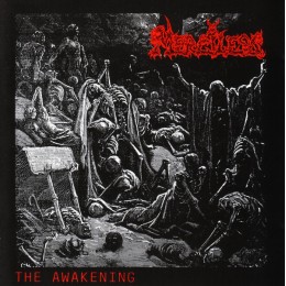 Виниловая пластинка Merciless "The Awakening" (1LP) Marble