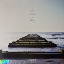 Виниловая пластинка Anathema "We're Here Because We're Here" (2LP)