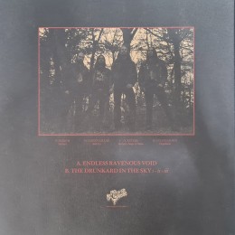 Виниловая пластинка Deathcult "Pleading For Death… Choking On Life" (1LP)