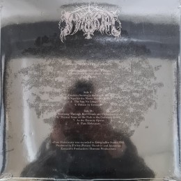 Виниловая пластинка Immortal "Pure Holocaust" (1LP) Grey-Black