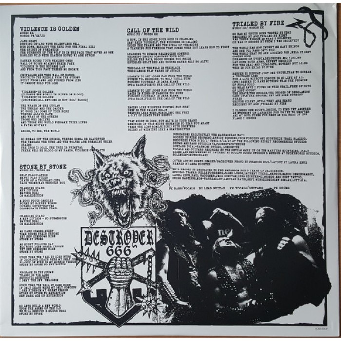 Виниловая пластинка Destroyer 666 "Call Of The Wild" (1LP) Clear