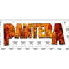 Виниловая наклейка "Pantera"