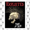 Виниловая наклейка "The Exploited"