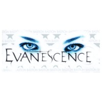 Виниловая наклейка "Evanescence"