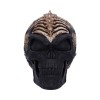 Статуэтка "Spine Head Skull" 18.5 см (JR)