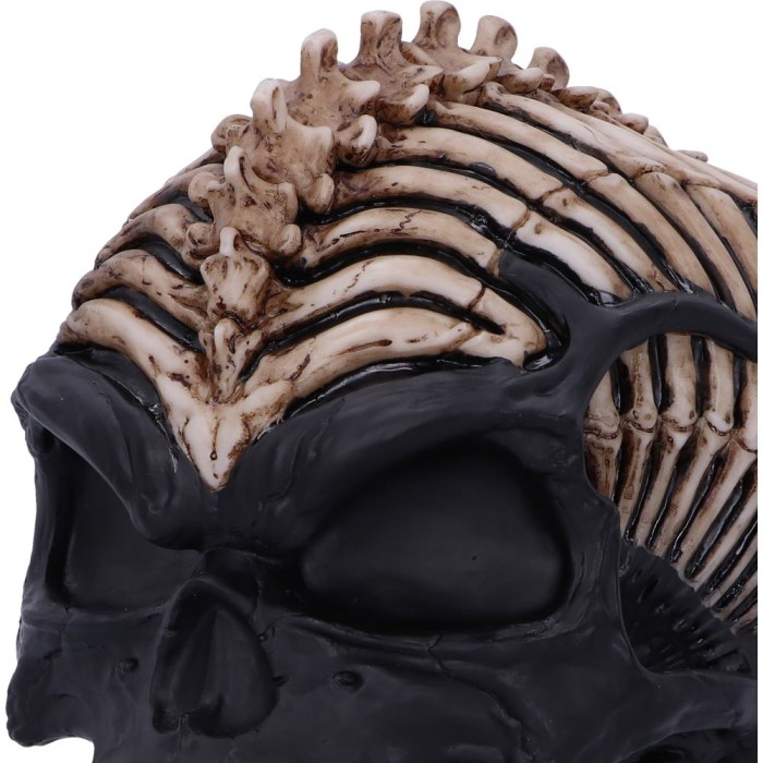 Статуэтка "Spine Head Skull" 18.5 см (JR)