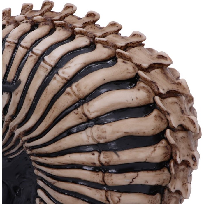 Статуэтка "Spine Head Skull" 18.5 см (JR)
