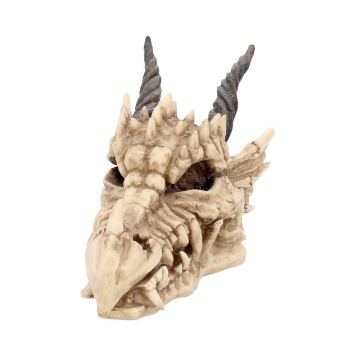 Шкатулка "Dragon Skull" 20 см