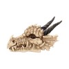 Шкатулка "Dragon Skull" 20 см