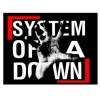 Пенал "System Of A Down"