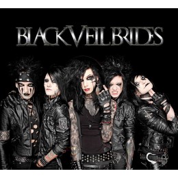 Пенал "Black Veil Brides"