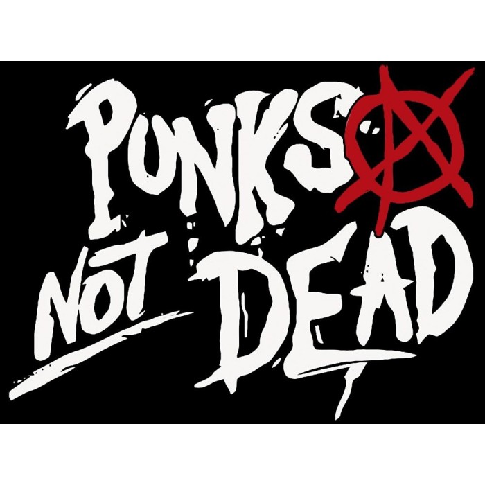 Плед "Punks Not Dead"