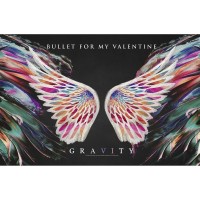 Флаг Bullet For My Valentine "Gravity"